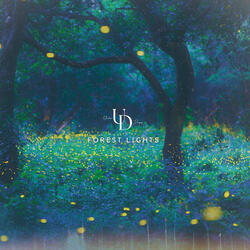 Forest Lights