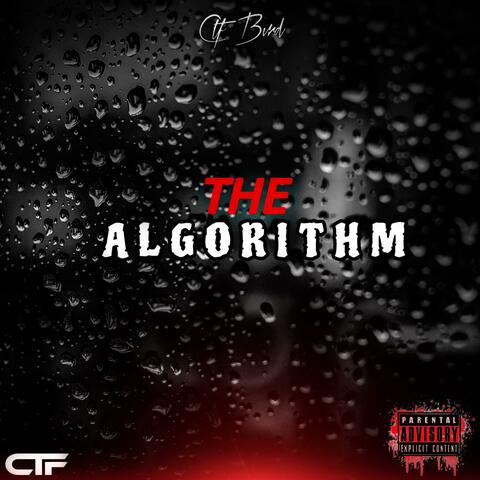THE ALGORITHM