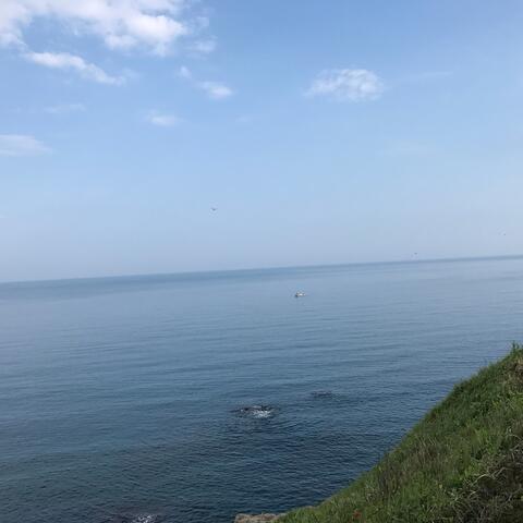 Fictional Game Soundtrack Fantasy Quest, Vol.1