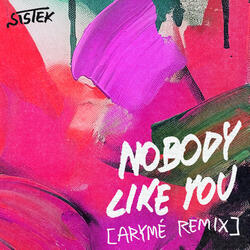 Nobody Like You