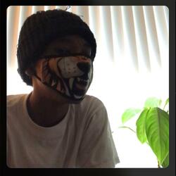 Shenanigans Freestyle