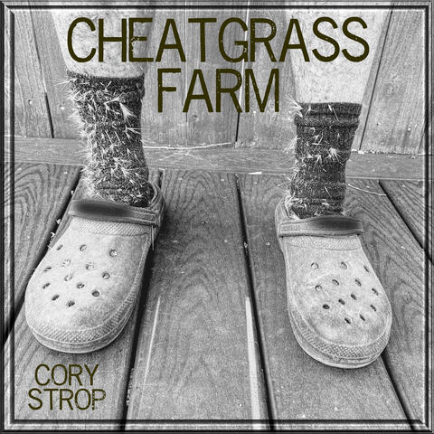Cheatgrass Farm