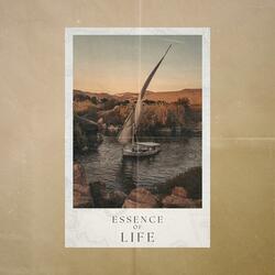 Essence of Life