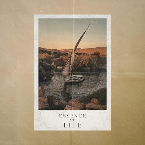 Essence of Life