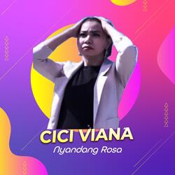 Nyandang Roso