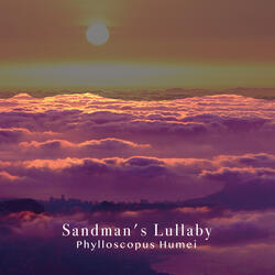 Sandman's Lullaby