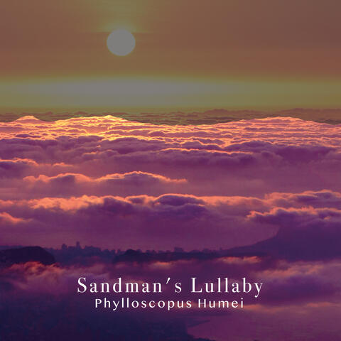 Sandman's Lullaby