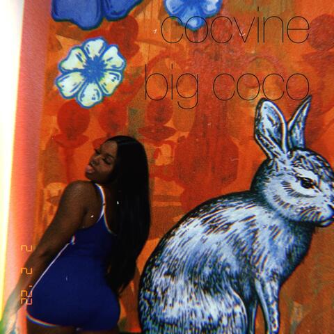 Big Coco