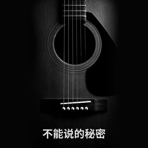 不能说的秘密