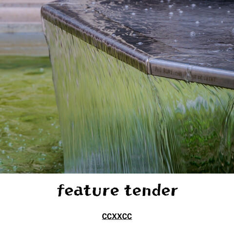 feature tender
