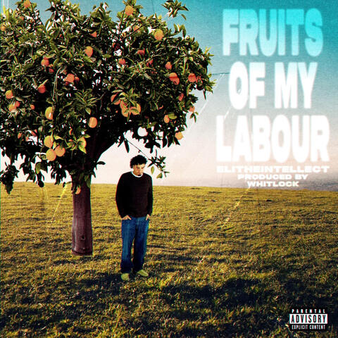 Fruits Of My Labour