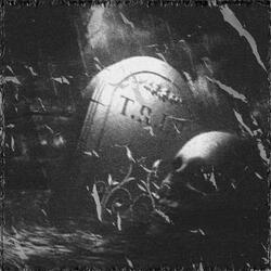 Extrañar sin conocer