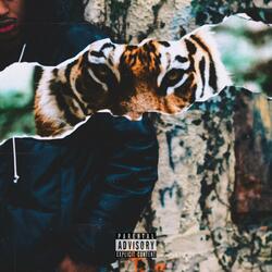 JUNGLE