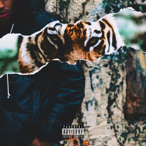 JUNGLE