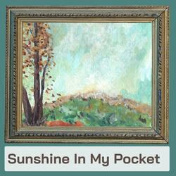 Sunshine in My Pocket