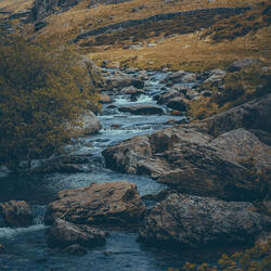 River's Current