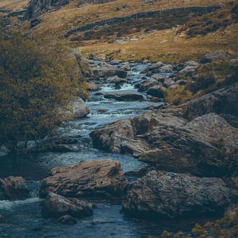 River's Current