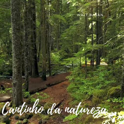 Cantinho da natureza