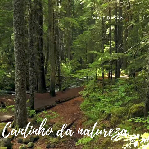 Cantinho da natureza