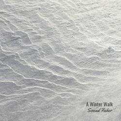A Winter Walk