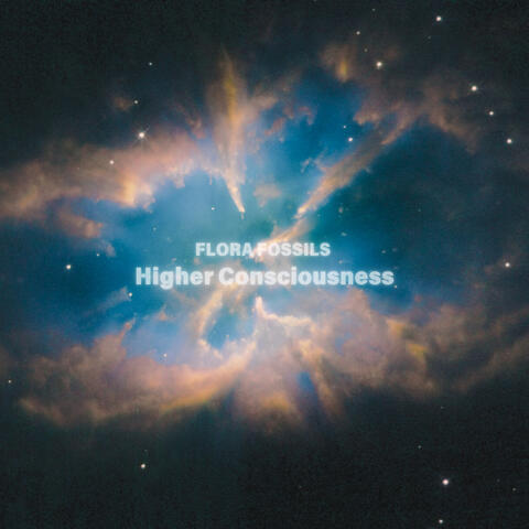 Higher Consciousness