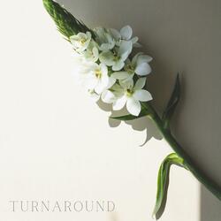 Turnaround