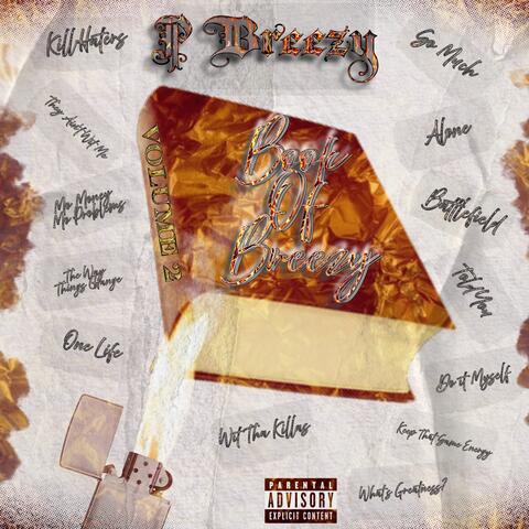Book Of Breezy Volume 2