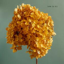 Love Is All