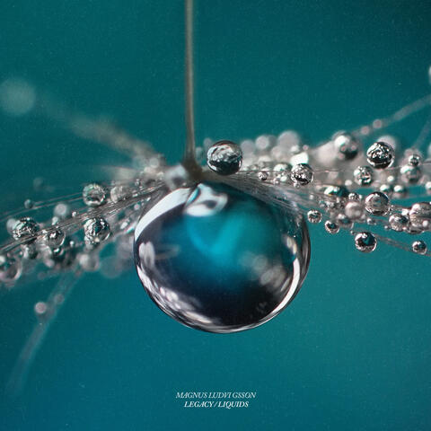 Legacy / Liquids