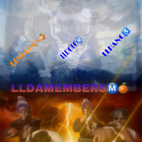 LLDAMEMBERS