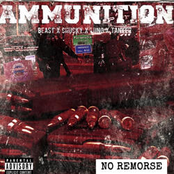 AMMUNITION