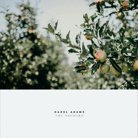 The Orchard