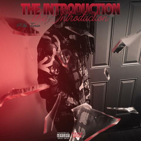 THE INTRODUCTION