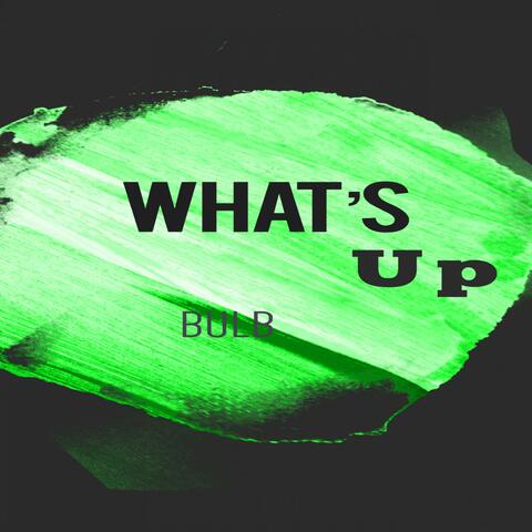 What's Up