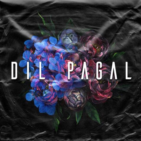 Dil Pagal
