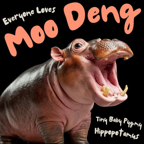 Everyone Loves Moo Deng The Tiny Baby Pygmy Hippopotamus