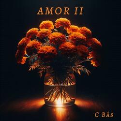 AMOR II
