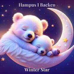 Winter Star