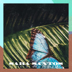 As Asas De Uma Borboleta