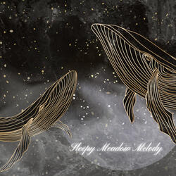 Sleepy Meadow Melody