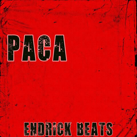 Paca