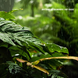Rhythms of Raindrops for Focus