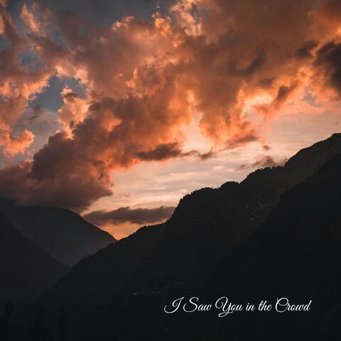 I Saw You in the Crowd