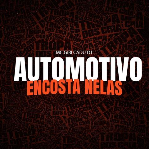 AUTOMOTIVO ENCOSTA NELAS