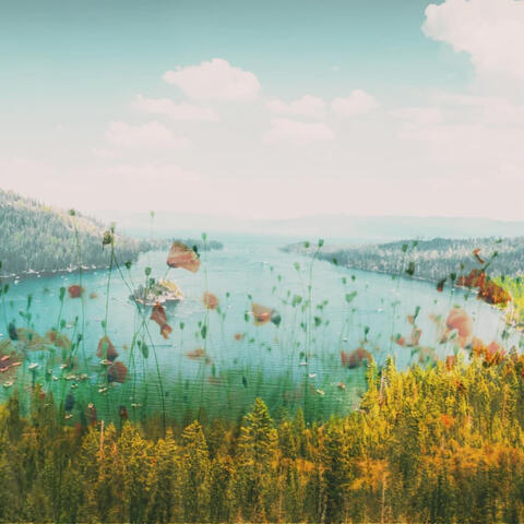 The River Dream