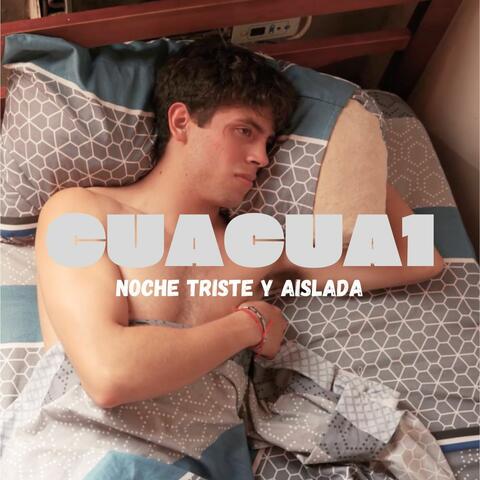 Noche Triste y Aislada