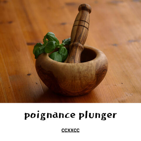 poignance plunger