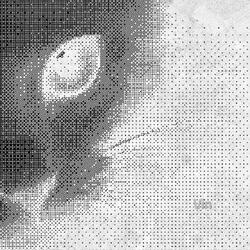 사랑하니까 떠나주는거란 말은 (Feat. 서은)