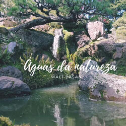 Águas da natureza