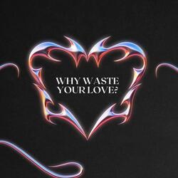 Why Waste Your Love?